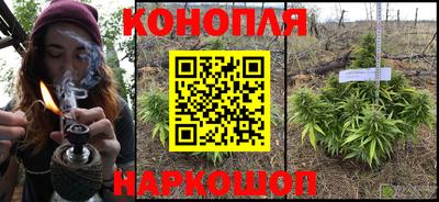МДПВ Рыбинск