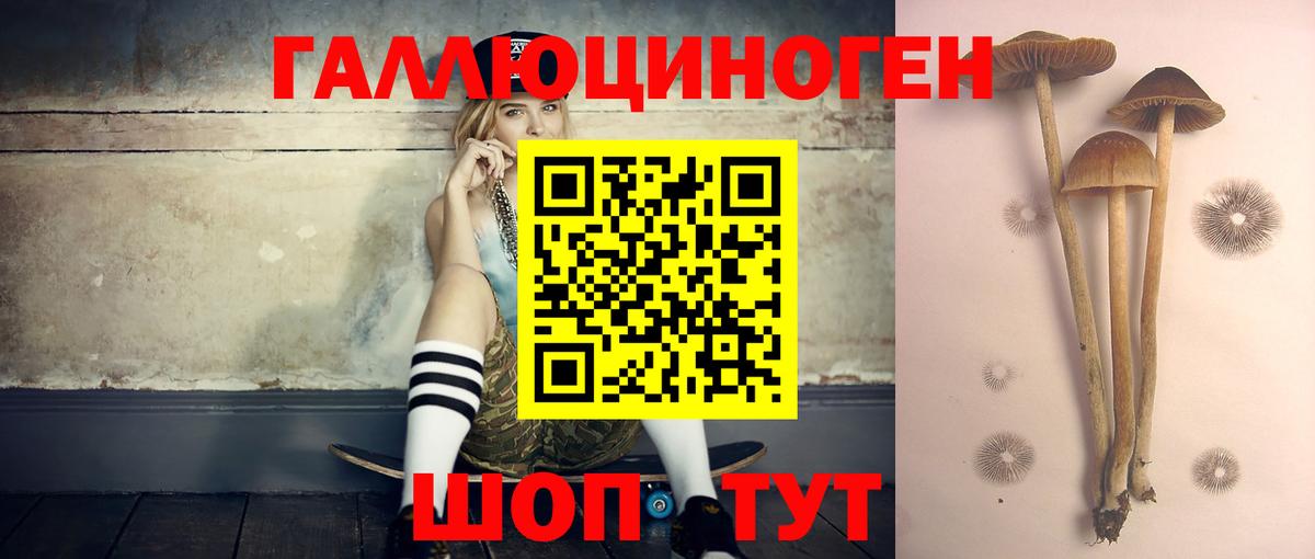 Псилоцибиновые грибы Magic Shrooms  Галлюциногенные грибы Psilocybe  Сергиев Посад  Вход с VPN 