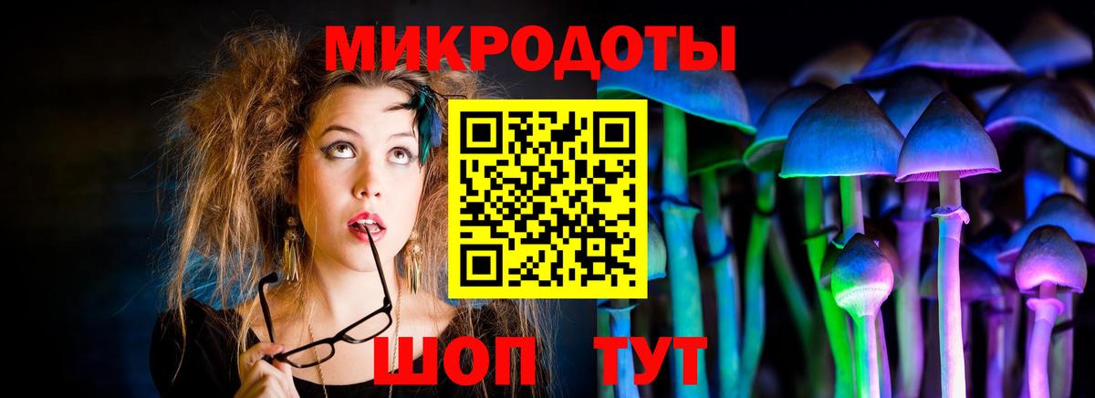 Псилоцибиновые грибы Psilocybe Сергиев Посад